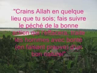 Quelques paroles du prophète Muhammad (sws)