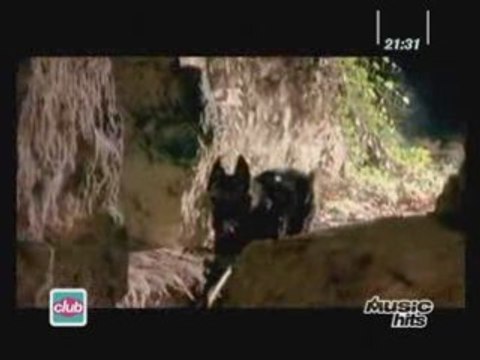 David Vendetta feat Rachael Starr - Bleeding Heart