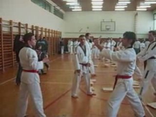 taekwondo klub CRO STAR Mostar