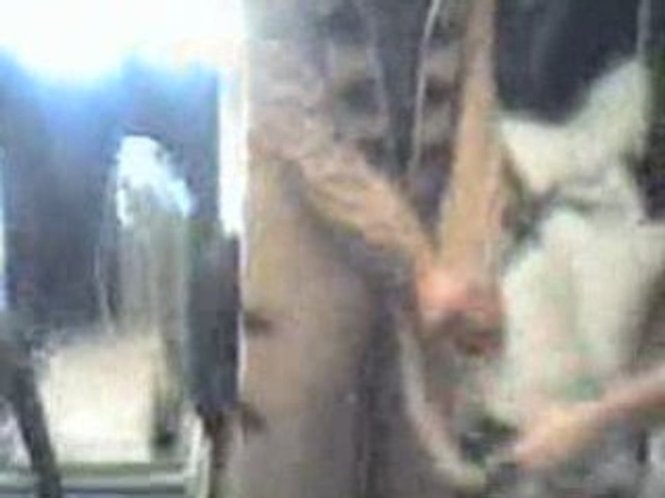 timon & pumba!! rafi le retour!