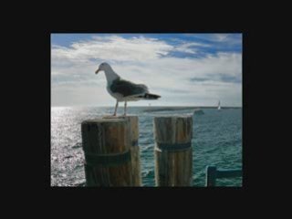 LUMINITA SOARE: Love Letters In The Sand ( Brust und Stimme)