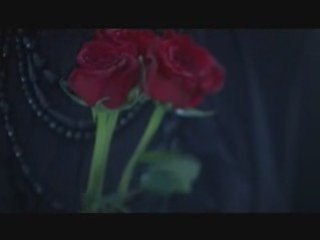 沢田知可子 - 喝采