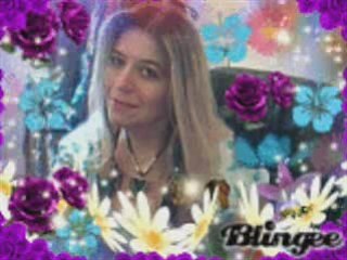 UN ARC EN CIEL DE PAPILLONS TOUT EN COULEURS