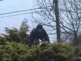 Michael qui saute du sapin