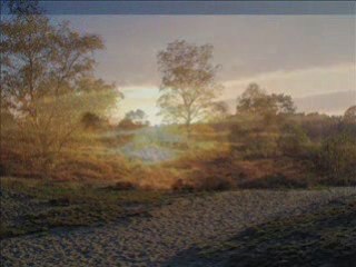 I'll stand by you (with lyrics)