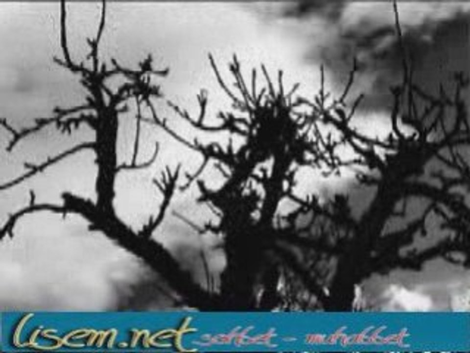 Aslı Güngör Aşk Her Şeye Değer www.lisem.net