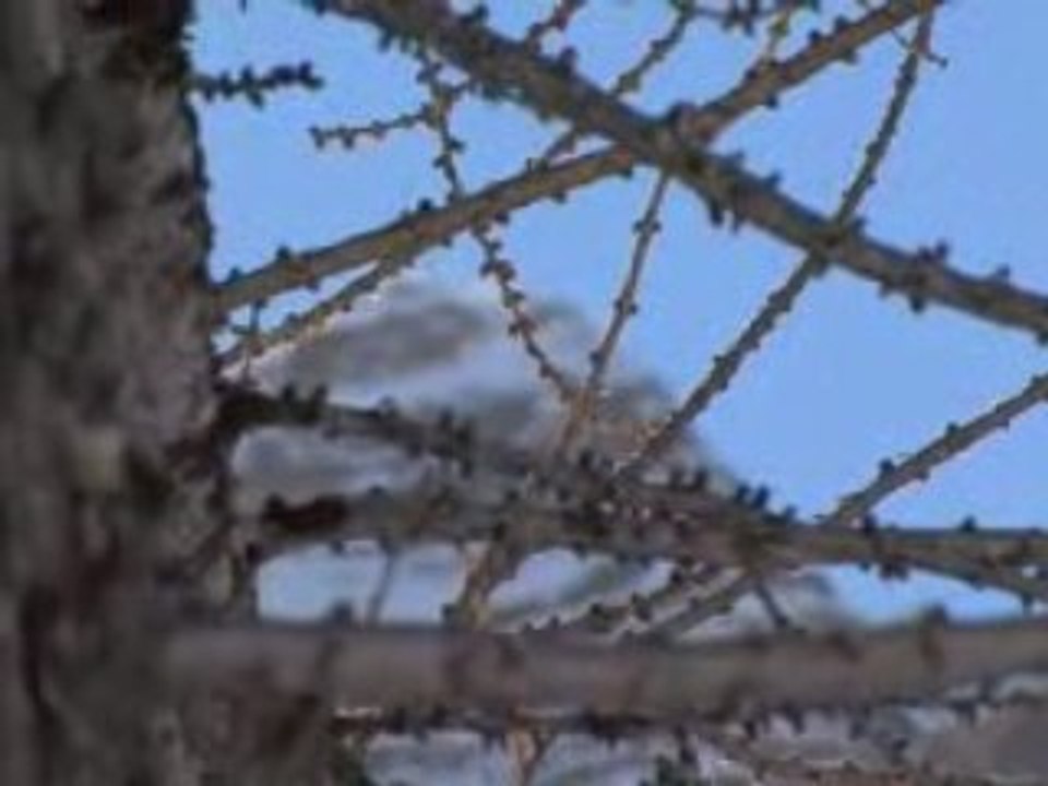 Snowboard teaser 2009 frederic lozano