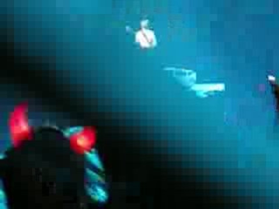 AC/DC tournée 2009 à Bercy le 25 février