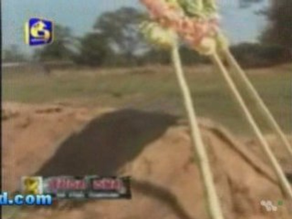 PTK LTTE militery leader is died 27/02/2009