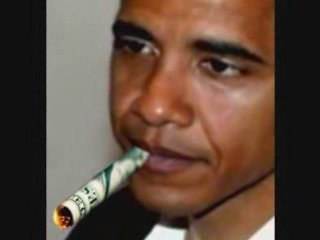 Somebody Must Be Smoking Something Illegal