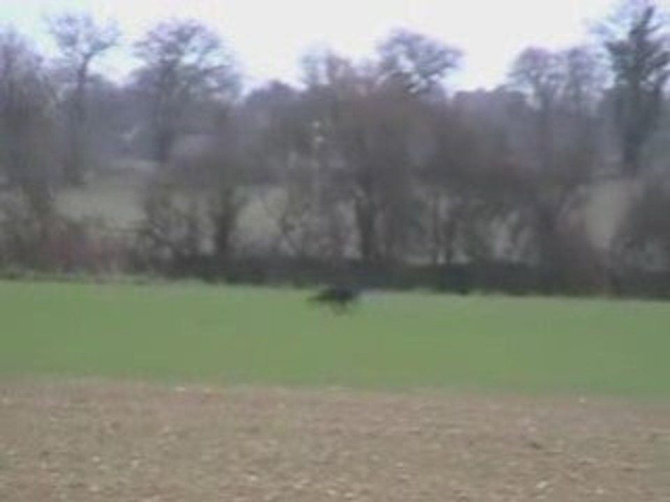 Viva Maria - Piste libre (B) au championnat National Espoir 2009