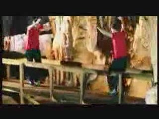 sinan yılmaz  kolbastı