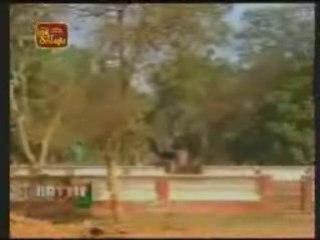 Wanni Operation-Another Submarine Junk Found