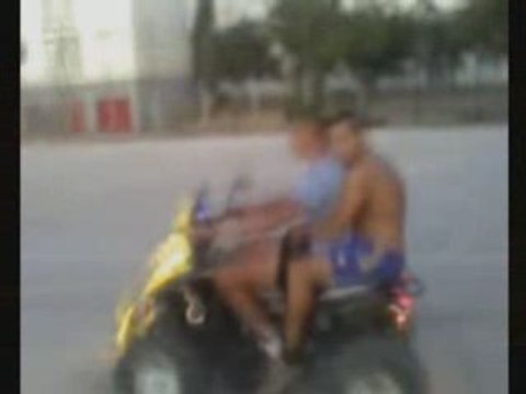 Les oeillets 83 en mode pilote