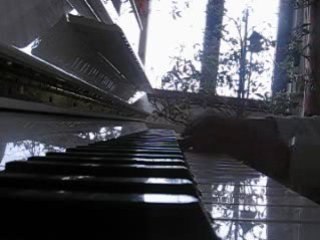 Premiere composition [2]