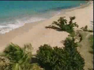 Poker Mission Caraïbes : Selim