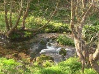 Muiños do Rio Fraga en Baredo-Baiona