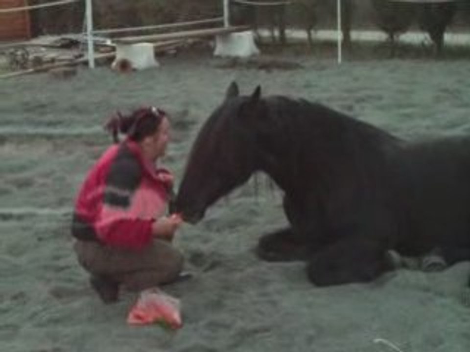 Mick couché le 27/02/09