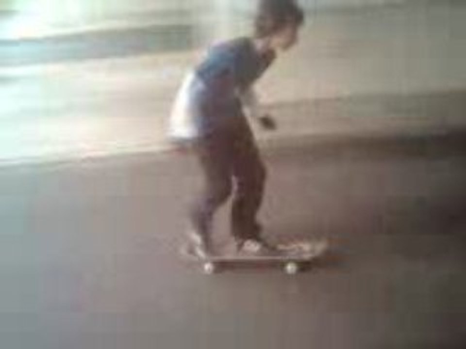 Mon bird slide