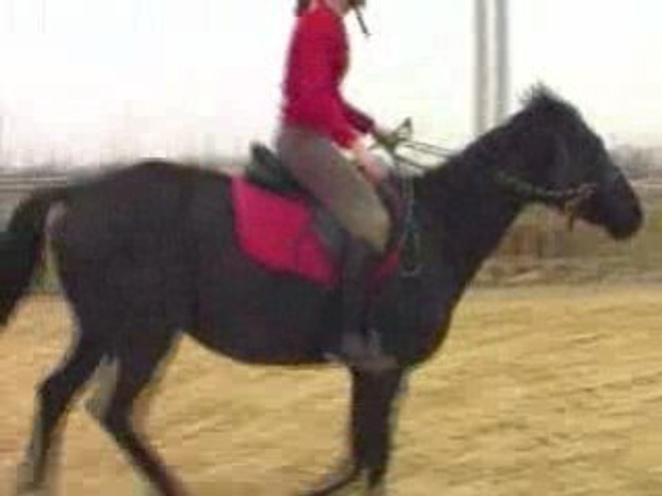 Seance Saut