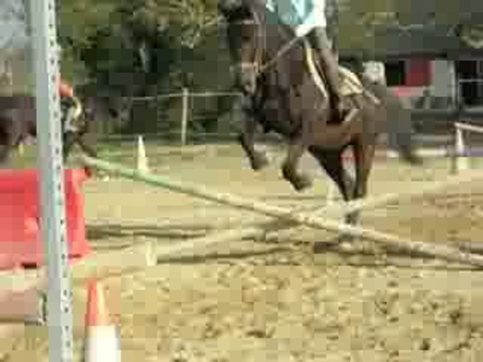 Forban saut