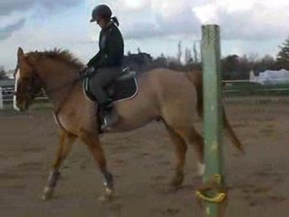 Trot et galop