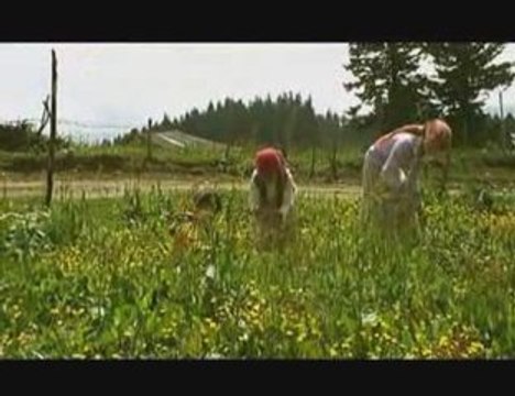 AĞASARLI FEVZİ SİSDAĞI