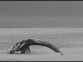 :wumpscut: - die in winter (bt7 remix)