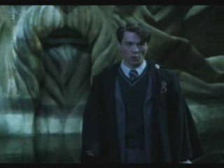 Harry Potter Cool Vibes