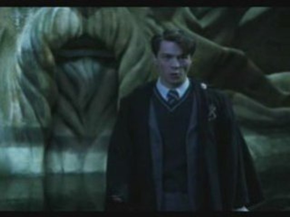 Harry Potter Cool Vibes