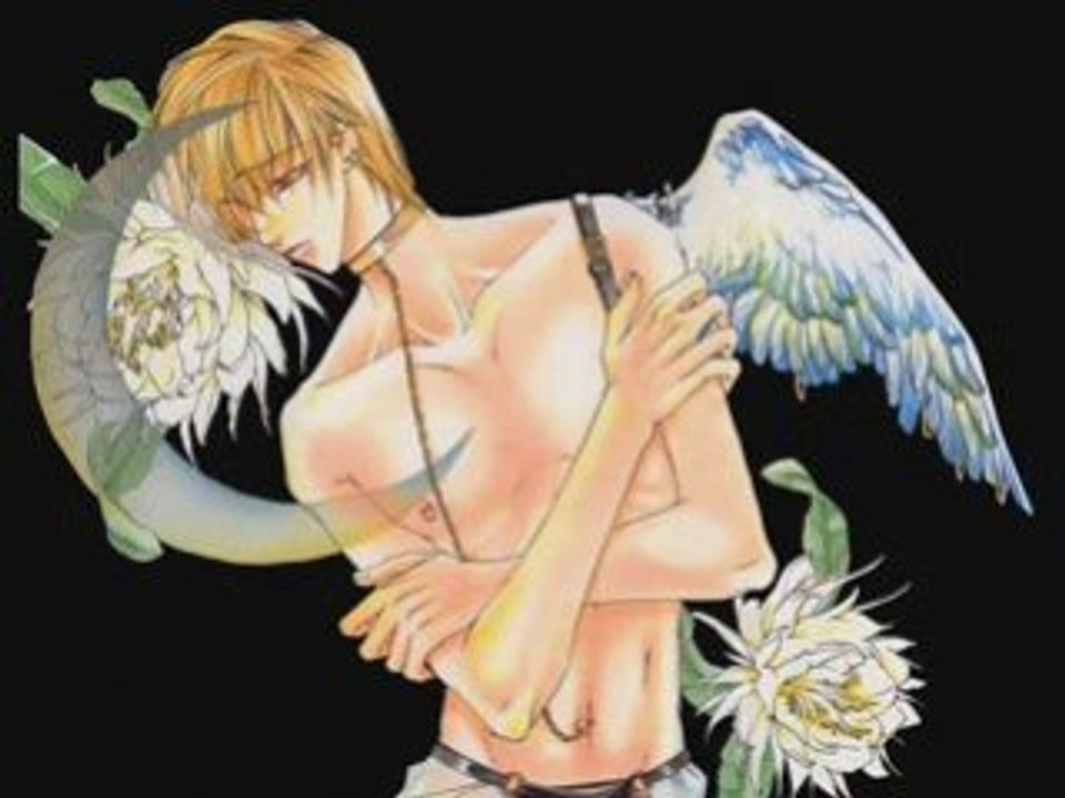 Love & Trahison