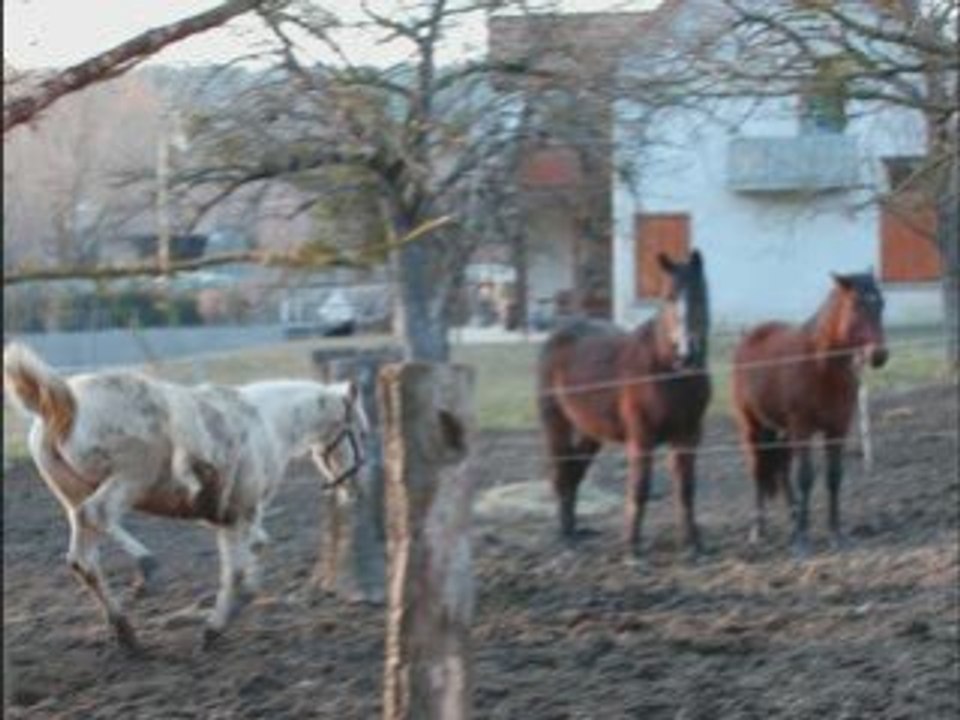 Tenessee 27 février