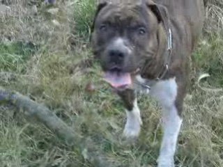 Naya et tOute sa life ( mdr)