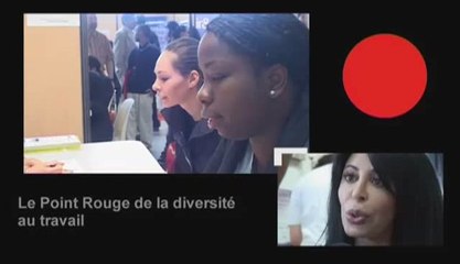 1033 POINT ROUGE #15 DE LA DIVERSITÉ AU TRAVAIL