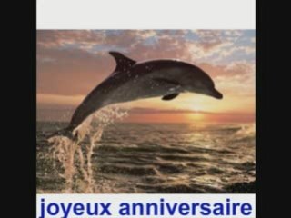 " ANNIVERSAIRE DOLFIN 68  "