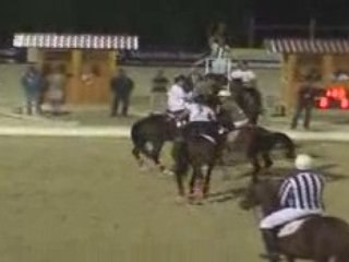 Horse Ball World Cup 2008: Canada Belgique