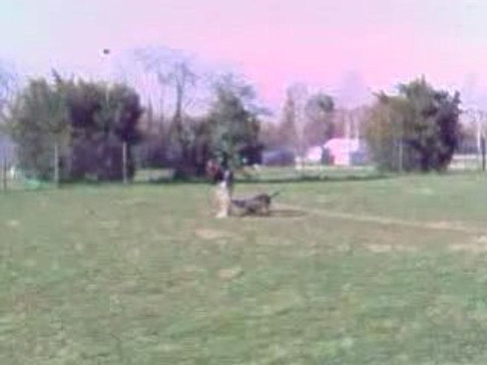 entrainement ring video002