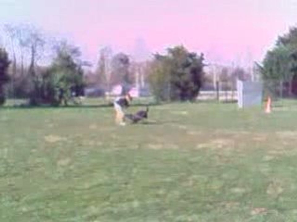 entrainement ring video003