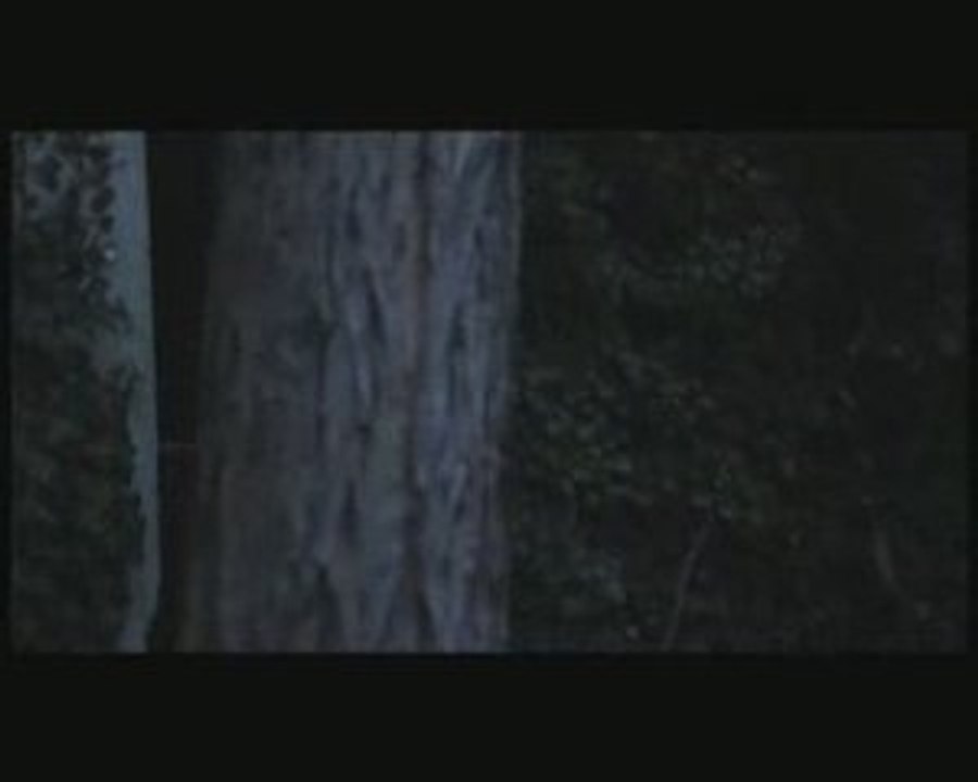 Teaser Alonzo