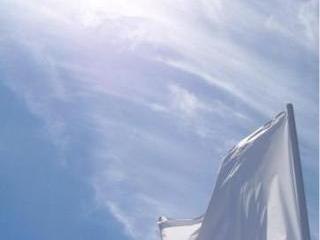 White Flag(Dido  acoustic cover)