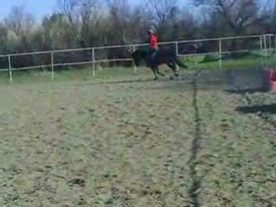 Quenzo au galop 2