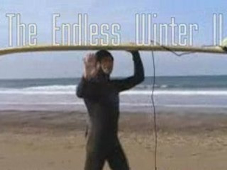 The Endless winter  2