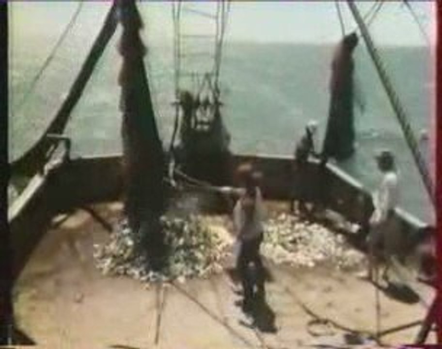 Héritage de Cousteau, écologie partie 2