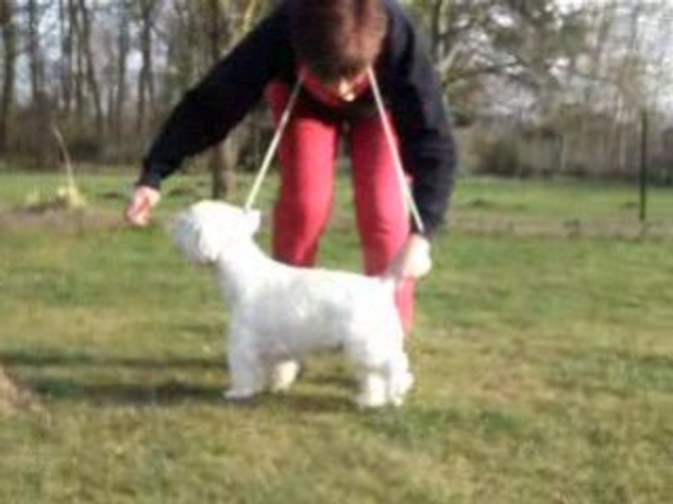 Droopy 6 mois