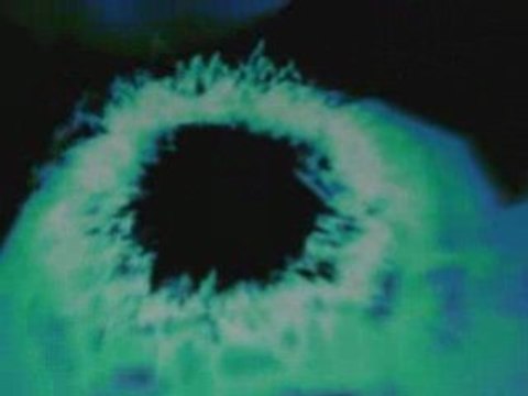 BRUCE LEE : entrainements en plein air et demonstrations