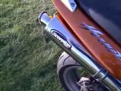 600 hornet pot scorpion