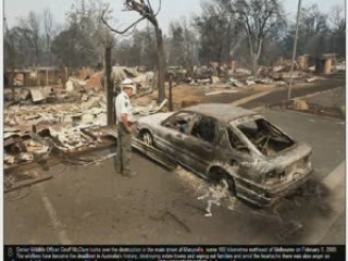 Australia Victorian Bushfires And  Koala Sam - True Blue