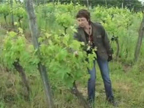 Le sentier botanique