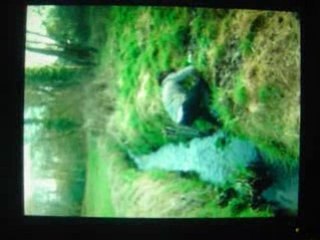 Aux Marecage !!! <3