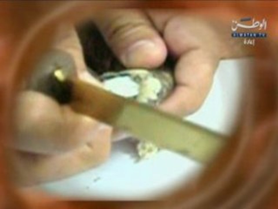 La sorcellerie 2/4 :  Sheikh Nabil Al 3awdi